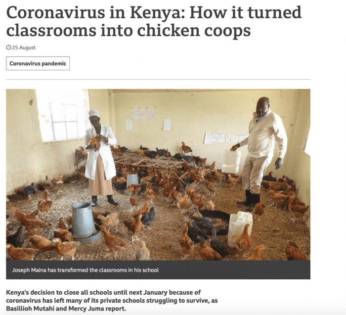 kenya teachers in article by bbc about raising chickens for income